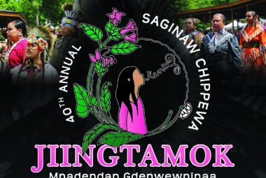 Saginaw Chippewa 40th Annual Pow Wow 2024