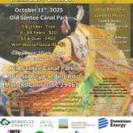 Wassamasaw Tribe Pow Wow 2025