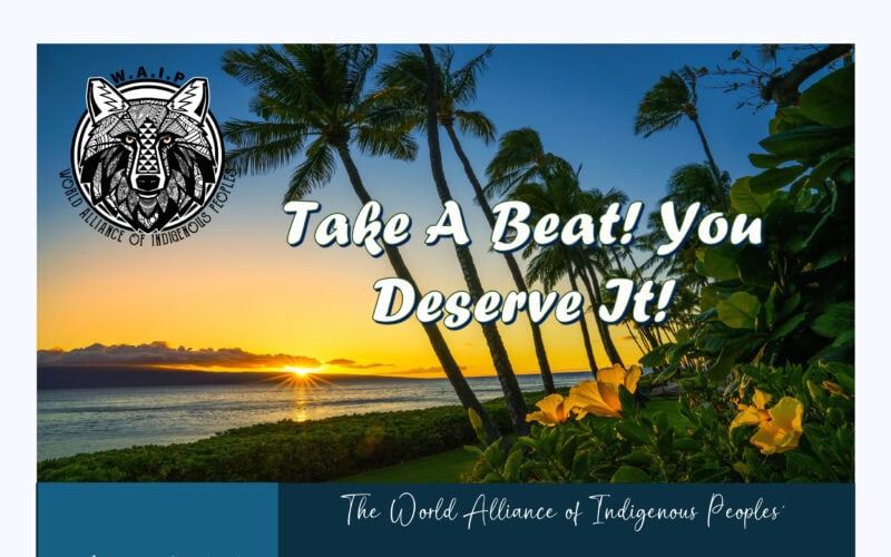 The Water Is Life Cruise: Celebrating Northeastern Woodland Clans, Sunksqás, Clan Mothers and Female Chiefs 2025